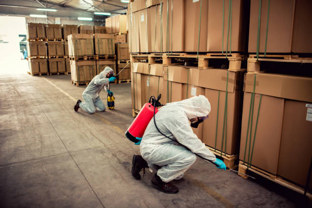 Best Affordable Pest Control Services  in Fair Oaks, VA