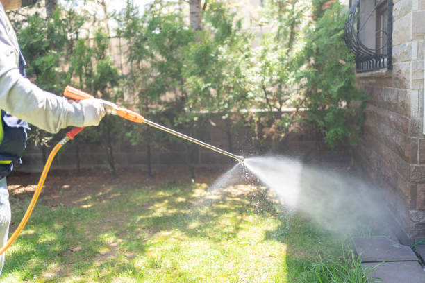 Best Mosquito Control Services  in Fair Oaks, VA